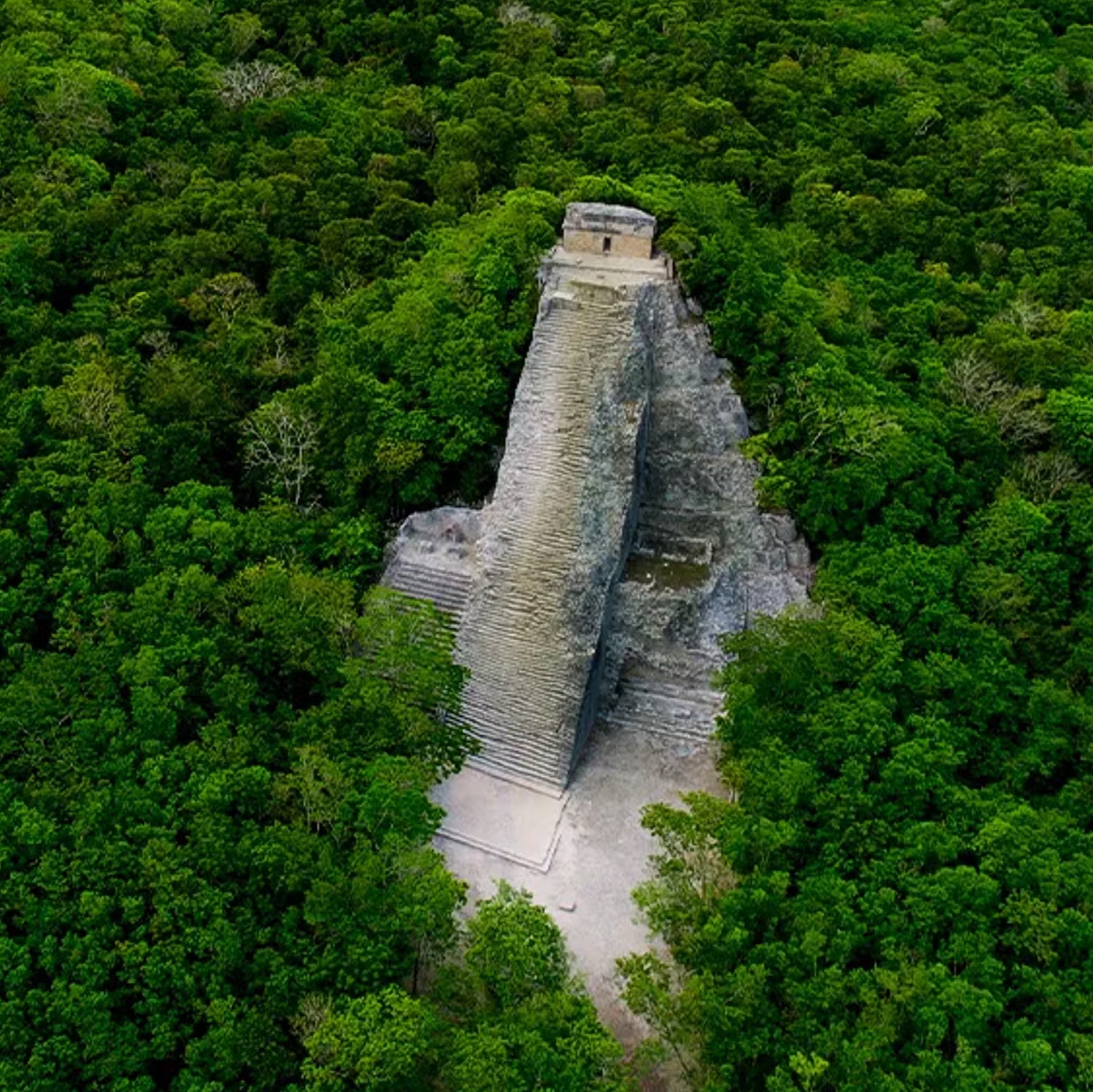 Cobá